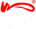 美丽壮乡官网